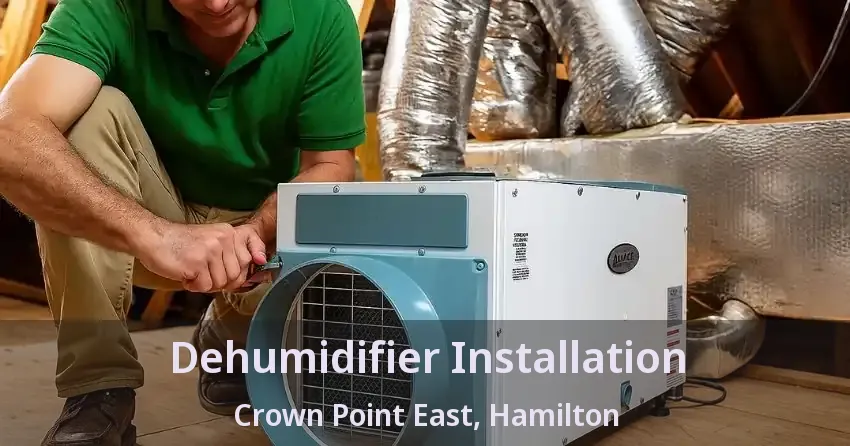 Dehumidifier Installation Crown Point East, Hamilton - ON