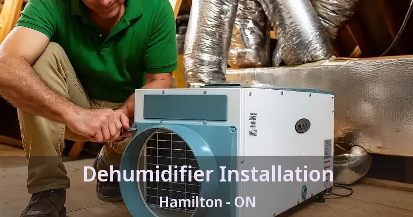 Dehumidifier Installation Hamilton - ON