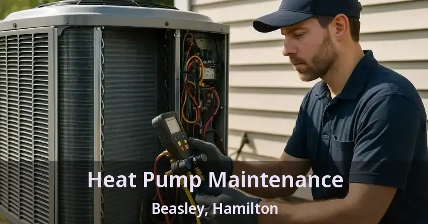 Heat Pump Maintenance Beasley, Hamilton - ON