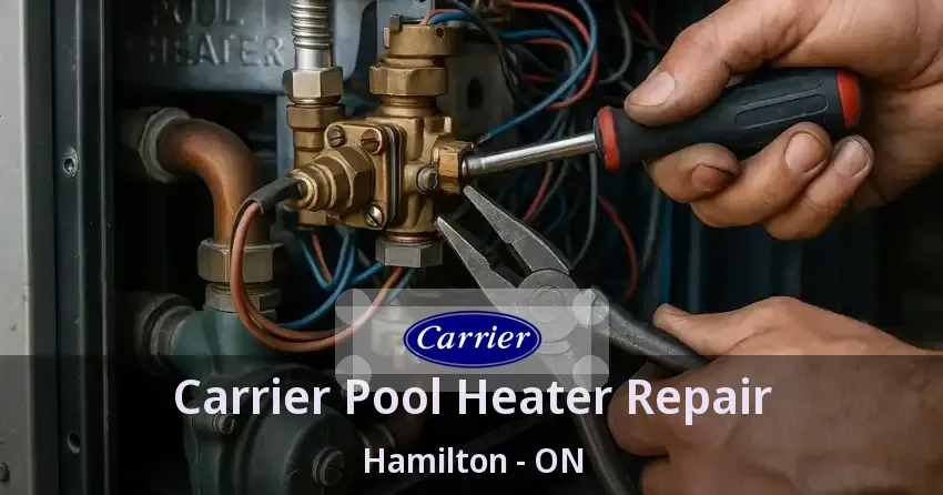 Carrier Pool Heater Repair Hamilton - ON